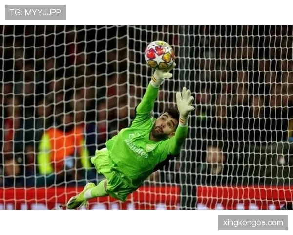 守门员犯规的判罚标准与比赛中常见违规行为解析