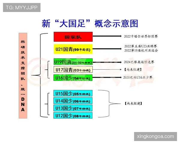 从U21核心到成年国家队成员：祖布门迪的成长路径